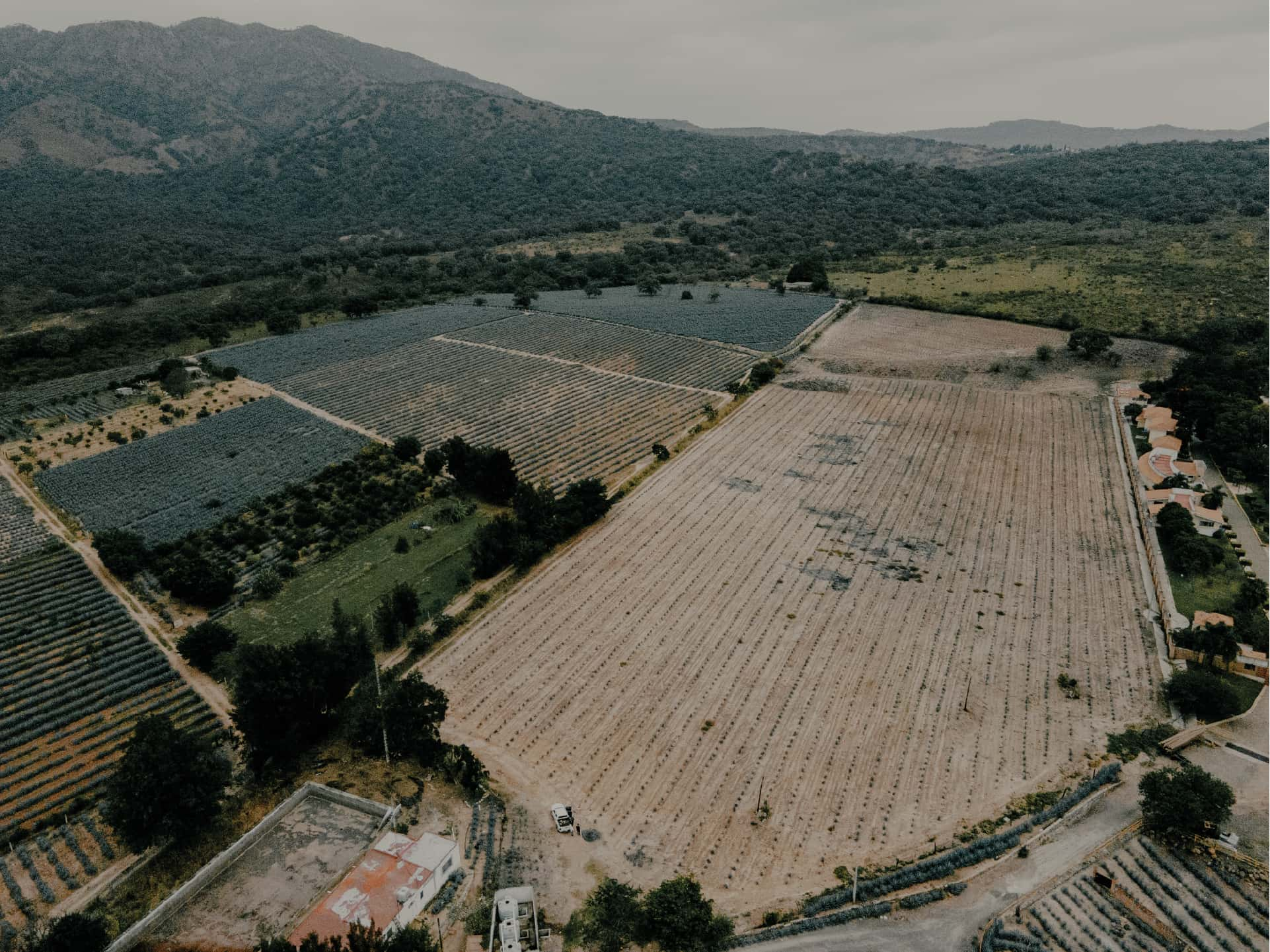 Llano de las Rosas